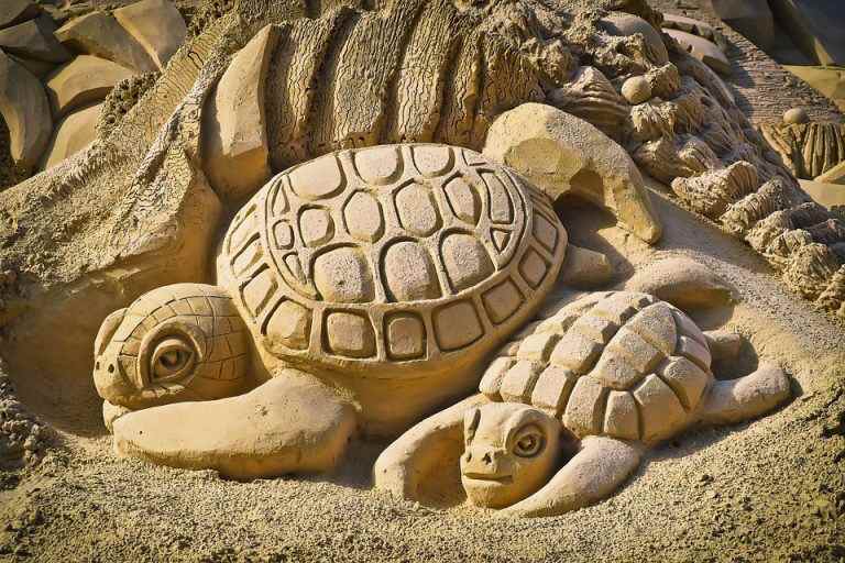 5 Things You Should Know Before Moving to Virginia Beach sand sculpture